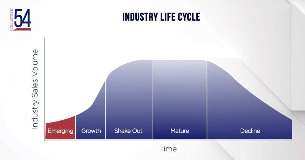 Emerging Industry Part of the Industry Life Cycle