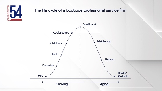 Life cycle of a boutique professional services firm